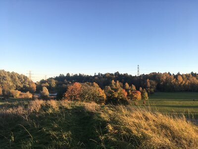 Podzimní Norra Djurgården
