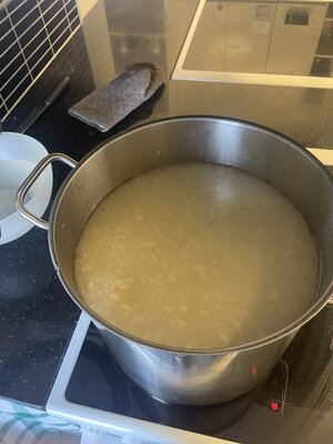 Tonkotsu ramen broth

